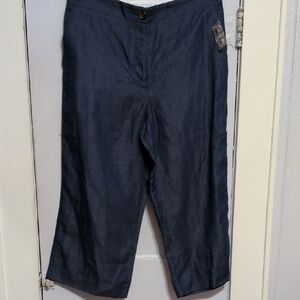 Ann Taylor Wide Leg Pants in Navy